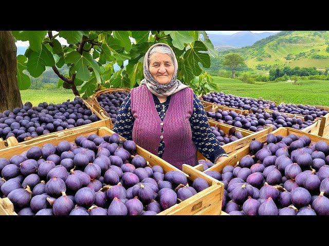 Fresh Fig Harvest for Winter: Making Lots of Jam and Cake in the Village!