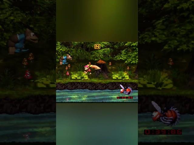 TAS Donkey Kong Country 3: Dixie Kong’s Double Trouble! SNES - Riverside Race