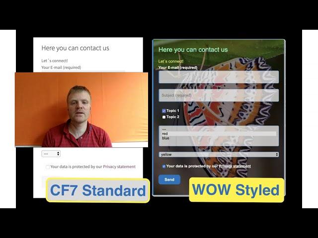 Style Contact Form 7 forms: Style more and faster when you f