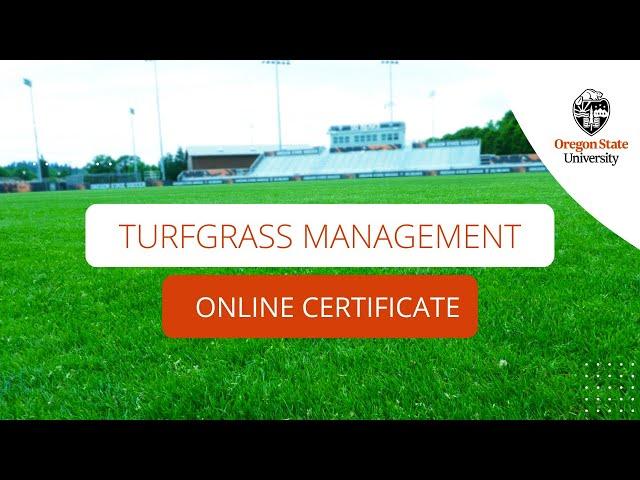 Get Ahead in Turfgrass Management with OSU's Online Certificate