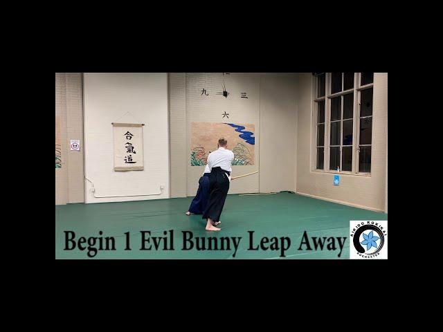 Shomen Uchi Kokyu Nage Bokken Kumi Tachi v0
