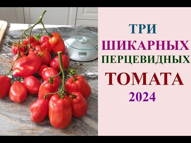 ТРИ ШИКАРНЫХ ПЕРЦЕВИДНЫХ ТОМАТА 2024. РЕКОМЕНДОВАНО К ВЫРАЩИВАНИЮ.