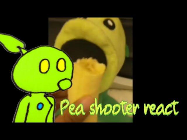 Pea shooter react!?