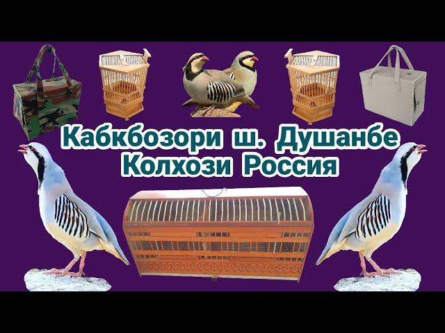 Кабкбозори Колхози Россия ш. Душанбе 27. 02. 2022