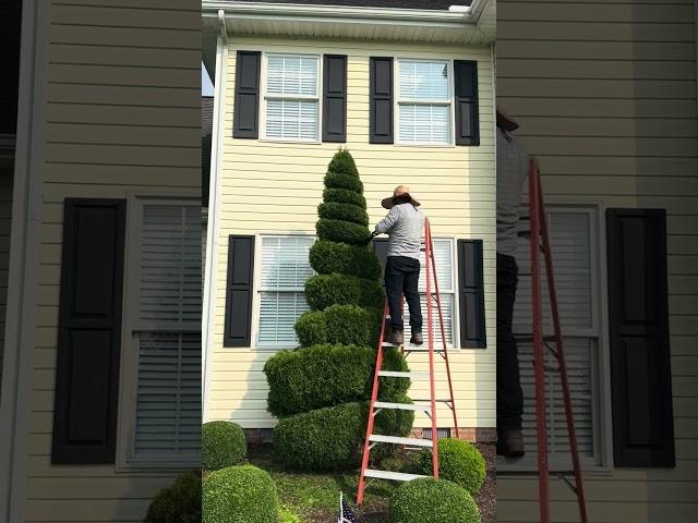 Bush Design | Speake Lawncare
