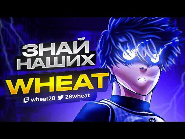 ЗНАЙ НАШИХ - WHEAT l ТОП ИГРОК ФОРТНАЙТ