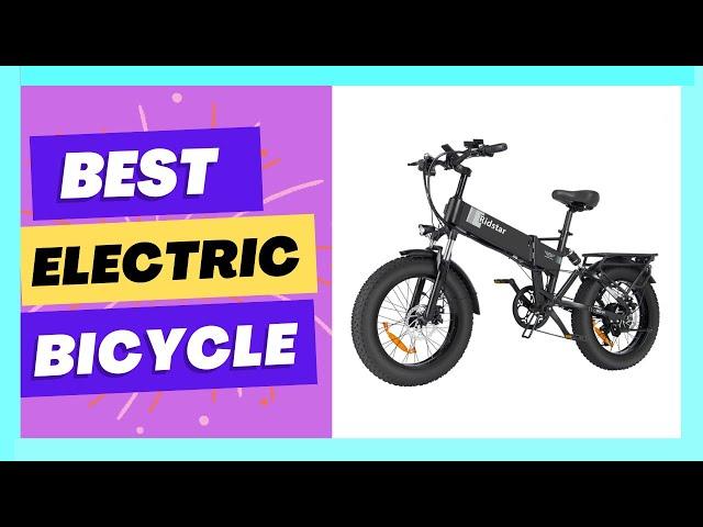 Ridstar Winner Bicycle Folding Electric Bike