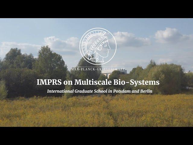 IMPRS on Multiscale Bio-Systems