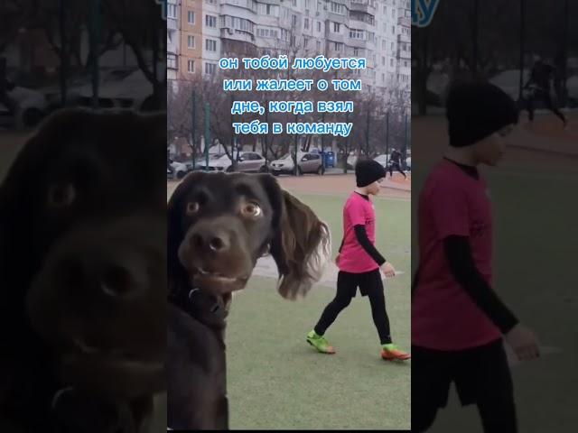 Когда тренер на тебя долго смотрит #футбол #odessa #football #odyssey #confuseddog