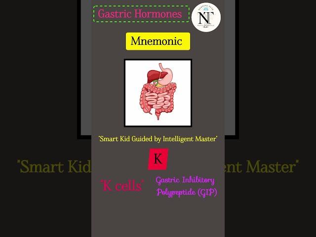 Mnemonic Series - "Gastric Hormones in 60 Seconds!  Mnemonics to Remember Key Hormones"