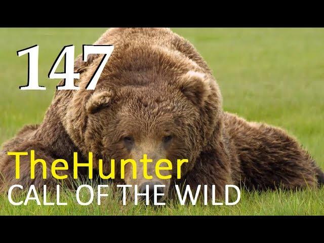 TheHunter Call of the Wild  ЛЕГЕНДАРНЫЙ  МЕДВЕДЬ  # 147