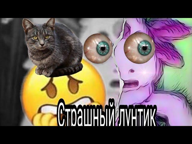 Реакция на The Шурик!