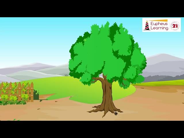 Itsy Bitsy Spider | Preschool 1 | Eupheus Learning