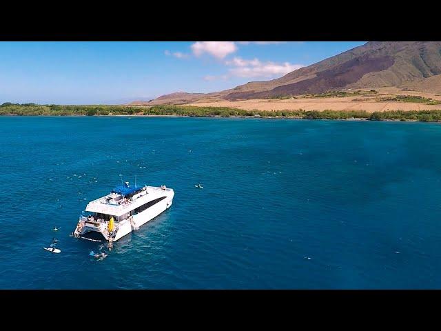 Pacific Whale Foundation - Snorkeling & Education in Hawaii