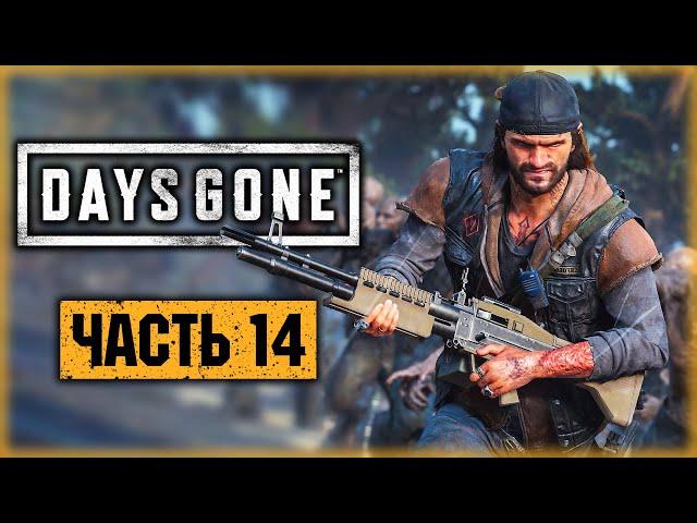 DAYS GONE #14 ️ - ПУЛЕМЕТ ПРОТИВ ОРДЫ! - Охота на "Рыжего" - Жизнь После (2021)