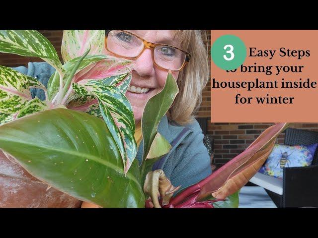 How to Bring Your Houseplants Inside to Overwinter