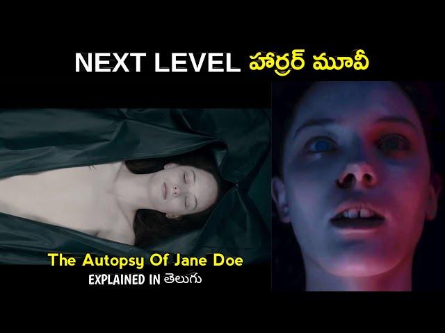 The Autopsy of Jane Doe Movie Concept And Ending Explained In Telugu | Horror Movie