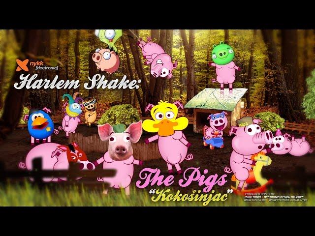 Harlem Shake The Pigs | Kokosinjac | Kokosvinjac | Chicken Coop