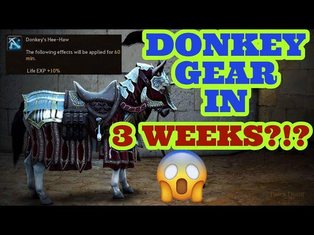 GET KROGDALO DONKEY GEAR FAST!!! | Black Desert Online | BDO Guide