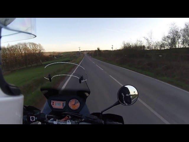 Bikers stop runaway horse and return to owner