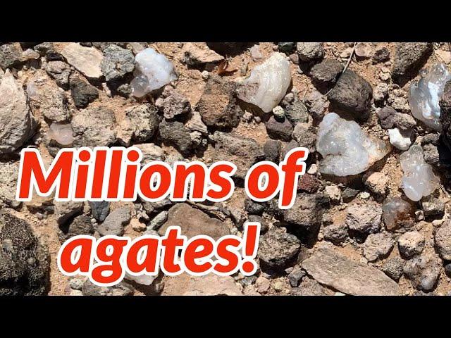 Easy to find agates in Arizona! Tips & Tricks