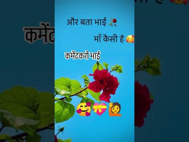 https://youtube.com/shorts/cZymq3N5a5w?si=91VEGJbToMMq9Y9n