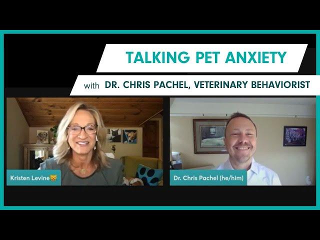 Talking Pet Anxiety with Dr. Chris Pachel, Veterinary Behaviorist