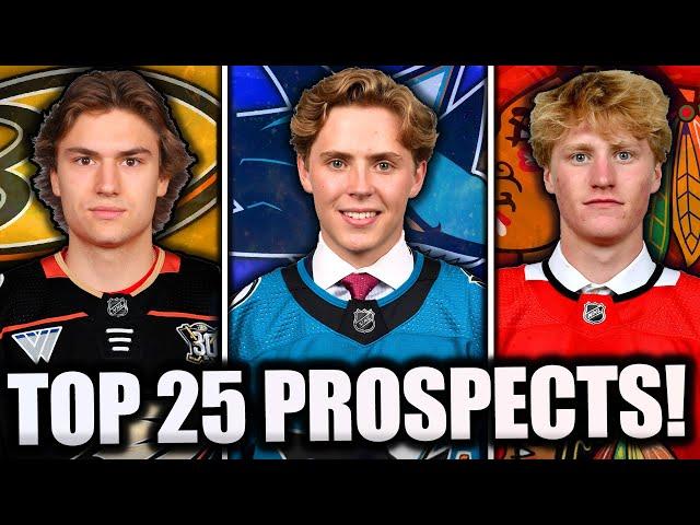 TOP 25 *BEST* NHL PROSPECTS... (2024 Edition)