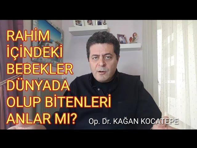 RAHİM İÇİNDE BEBEK DOĞACAĞI DÜNYADA OLUP BİTENİ NASIL ANLAR? ANNE ADAYI AÇ KALIRSA BEBEĞİNE NE OLUR?