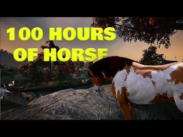 100 Hours Of Horse Catching For This Upgrade | Black Desert Ultimate Ironman