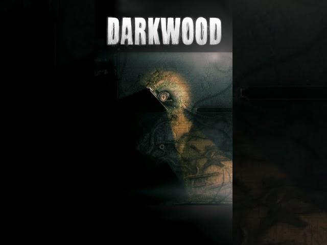 Nights In Darkwood Are Usally fo from 0 to 100 #Darkwood #BlindPlaythrough