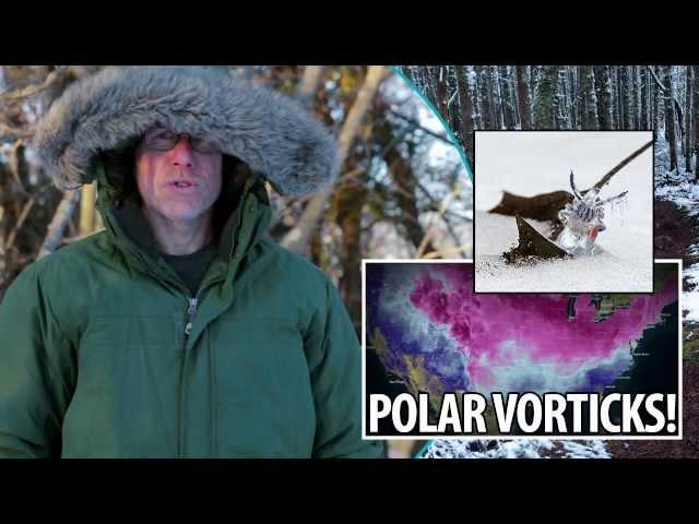 Polar "Vorticks"