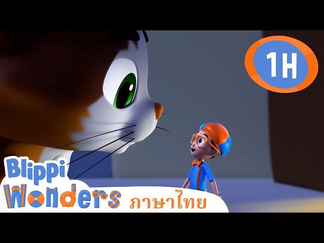 หนวด | Blippi ไทย | วิดีโอการเรียนรู้สำหรับเด็ก