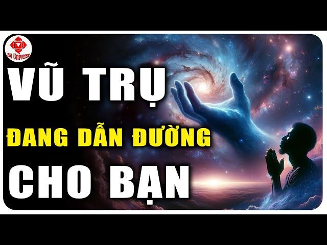 Một Khi Bạn Thực Hiện Theo 7 Quy Luật Này Sẽ Có TẤT CẢ MỌI THỨ |  BA Universe