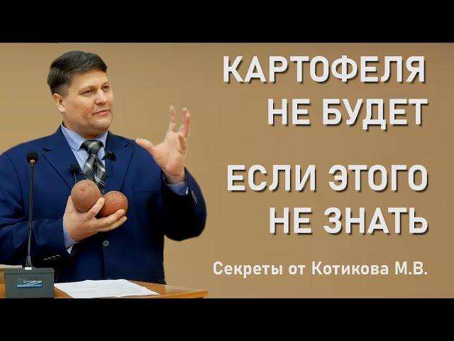 Как получить большой урожай картофеля? Разбираем ошибки и лучшие сорта!