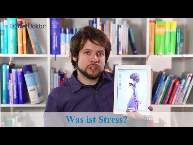 Was ist Stress? - NetDoktor.de