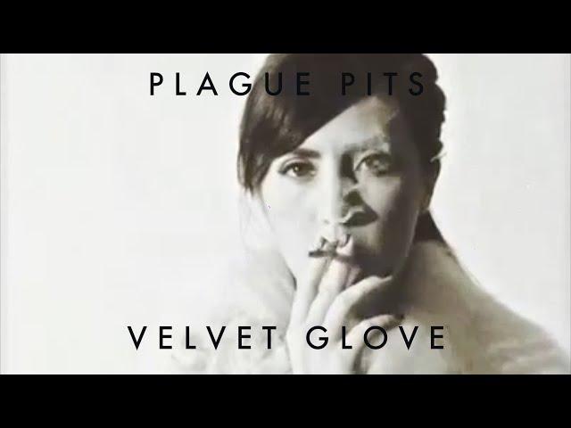 VELVET GLOVE