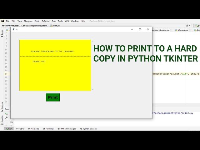 How to make a Print Out | Print Hard Copies directly from Python Tkinter tutorial