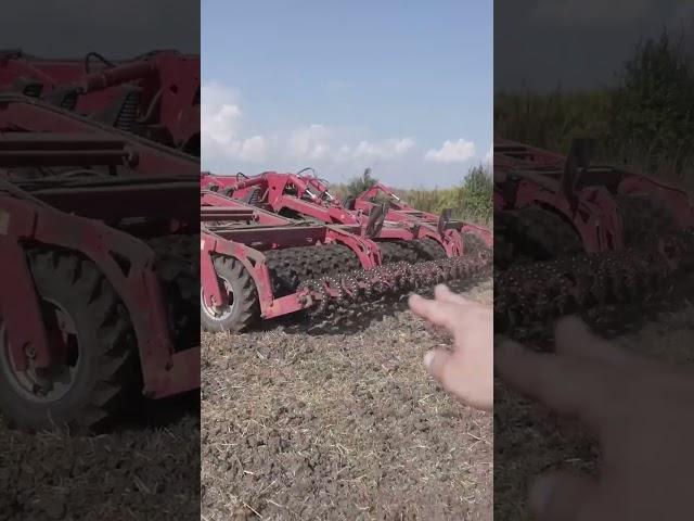 Buhler Versatile 435 and Horsch Tiger 8LT: Superior Fall Field Operations