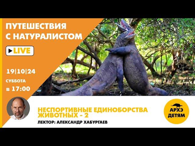 Занятие "Неспортивные единоборства животных 2" // Путешествия с натуралистом // Александр Хабургаев