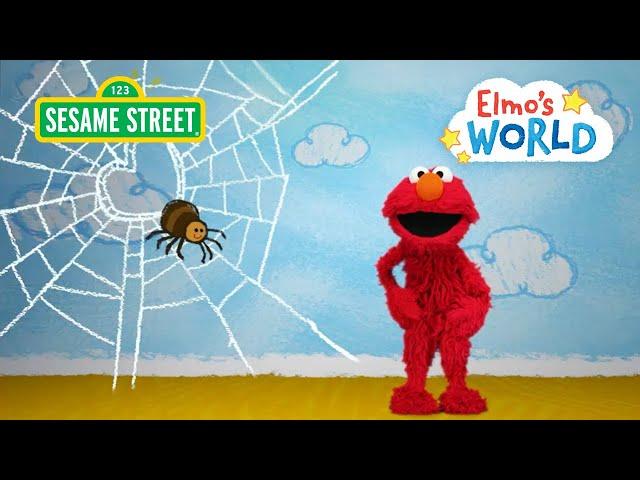 Sesame Street: Itsy Bitsy Spiders! | Elmo's World Spiders