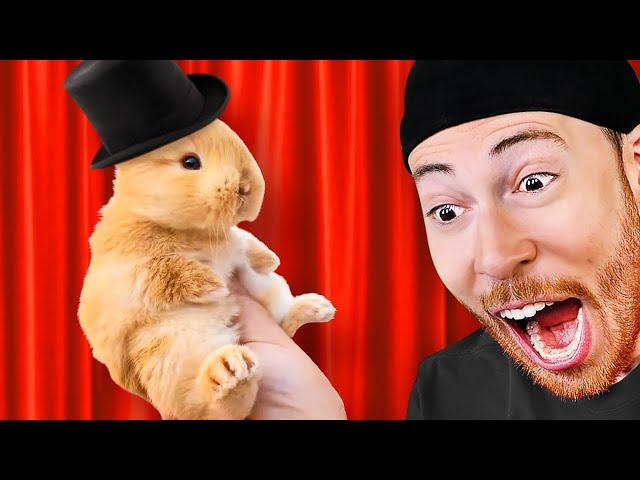 Reacting to the Funniest Bunny Videos