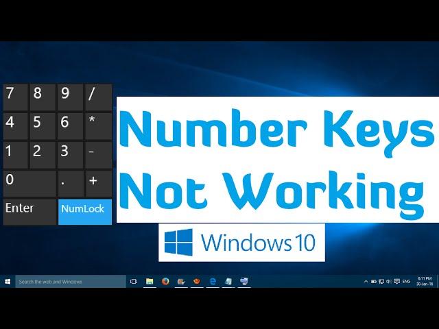 Number Keys not Working in Windows 10 and Windows 11 - 1 Simple Fix