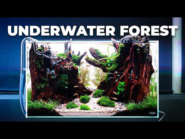 Creating an UNDERWATER FOREST in 60 liters