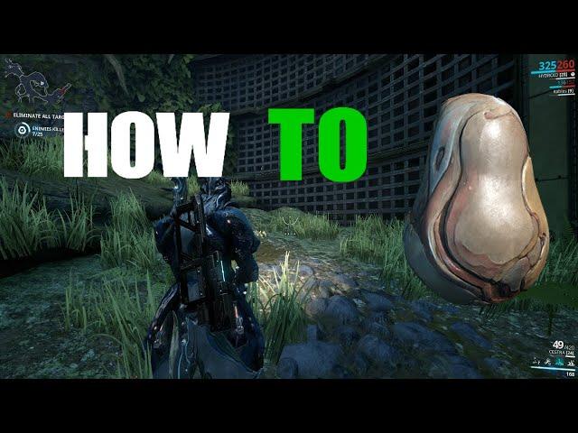 HOW TO Get KUBROW Eggs in Warframe!