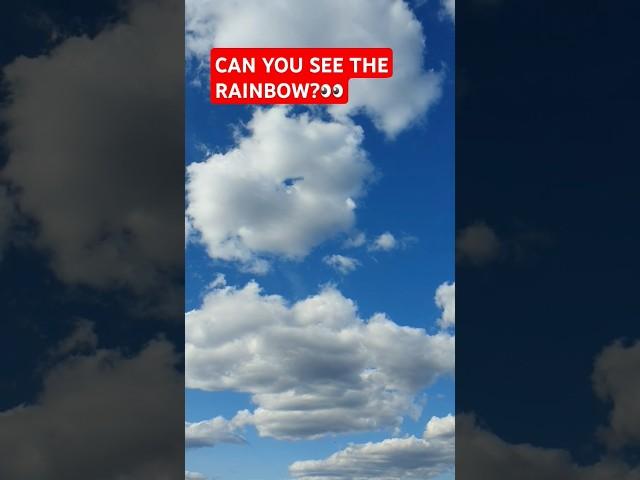 CAN YOU SEE THE RAINBOW? #rainbow #funny #shortsfeed #youtubeshorts #shorts #shortsvideo #LOVE #FYP