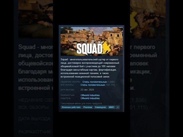 Squad - Отзывы в Steam как смысл жизни