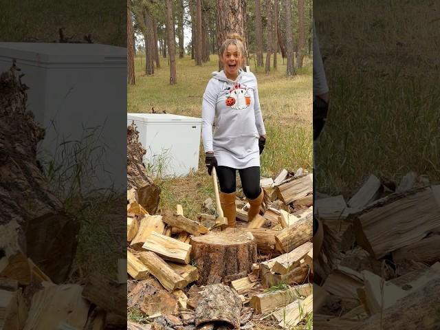 Easy chopping today! #woodchopping #woodsplitting #axe #aspentrees #onechop #outdoors