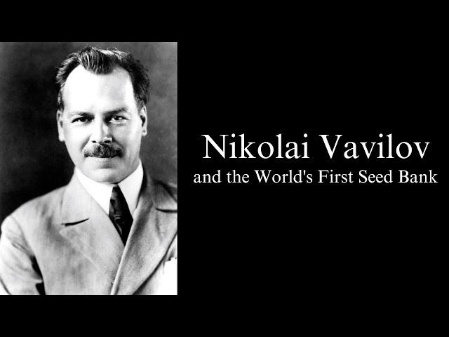 Nikolai Vavilov and the World's First Seed Bank | 2023 NHD Documentary