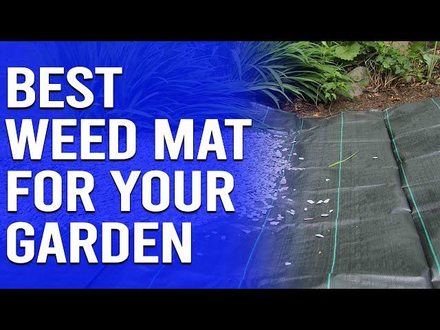 Best Weed Mat for Your Garden - An In-depth Dive (Our Top Contenders)